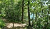 Trail Walking Marigny - Chalain Pergola 16km 20200528 - Photo 4