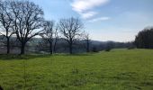 Trail Walking Walcourt - Randonnée autour de Walcourt - Photo 19