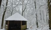 Percorso Marcia Aquisgrana - Aachenerwald ❄️⛄️ - Photo 4