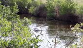 Tocht Stappen Audenge - Grande boucle du domaine de Certes-Graveyron - Photo 8