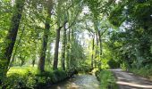 Trail Walking Gulpen-Wittem - Wijlre - Photo 5