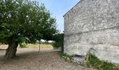 Randonnée Marche Saussines - Saussine, sentier des Romains - Photo 3