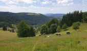 Trail Walking Belmont - Champ du feu - Col de la Charbonnière - Belmont  - Photo 1