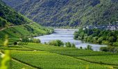 Randonnée A pied Schengen - Moselle³ Trail - Au pays des trois frontières  - Photo 2