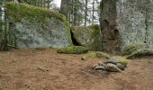 Randonnée Marche Sainte-Croix-aux-Mines - boucle col haut de Ribeauvillé - taennchel sentier des roches  - Photo 13