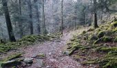 Trail Walking La Bresse - lac de blanchemer  - Photo 5