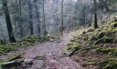 Excursión Senderismo La Bresse - lac de blanchemer  - Photo 5