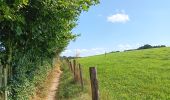 Tour Wandern Weismes - tour du lac, pont - barrage - pont  - Photo 2