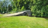 Tocht Stappen Durbuy - Bomal sur Ourthe 170625 - Photo 1