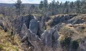 Trail Walking Viroinval - olloy sur viroin 030422 - Photo 10