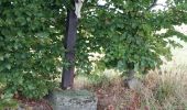Trail Walking Philippeville - Franchimont 130922 - Photo 16