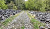 Tour Wandern Queyrières - Sous le Mounier - Photo 5