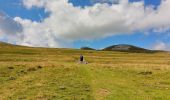 Tour Wandern Bouvante - Serre Montué ( petit et grand sommet) - Photo 17