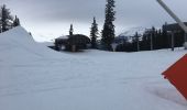 Tocht Ski randonnée La Plagne-Tarentaise - Myrtilles  - Photo 2