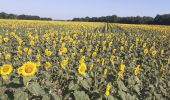 Trail Walking Crissay-sur-Manse - crissay sur mance - Photo 11
