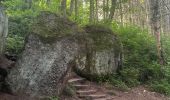 Trail  Obernai - Domaine St Jacques Mont St Odile  - Photo 4