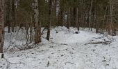 Excursión Raquetas de nieve La Pesse - L'Ambossieux-La Borne au Lion AR - Photo 9