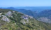 Trail Walking La Vacquerie-et-Saint-Martin-de-Castries - La Vacquerie St Guilhem  - Photo 6