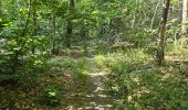 Tour Wandern Milly-la-Forêt - Milly-la-Forêt - Forêt domaniale des Trois pignons - Curiosités  - Photo 16