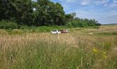 Tour Wandern Soisy-sur-École - Soizy-sur-Ecole - La Padole - Photo 19