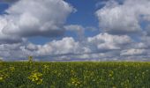 Trail On foot Esneux - promenade en campagne de Fontin (Esneux) - Photo 2