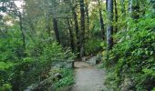 Trail Walking Herstal - SGR 412 (2ème étape) - Photo 11