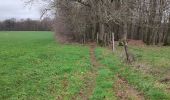 Trail Walking Meix-devant-Virton - Gite-de-gaume : Entre France et Belgique  - Photo 9