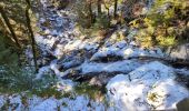 Trail Walking Lepuix - Saut de la Truite - cascade du Rummel - Etang du Petit-Haut - Ballon d'alsace - Photo 4