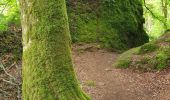 Tocht Stappen Thiézac - Les Gorges du Pas de Cère - Photo 14