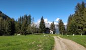 Trail Walking Arâches-la-Frasse - Les Carroz l'Arbaron en boucle - Photo 3