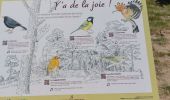 Trail Walking Barcelonnette - PROMENADE A BARCELONNETTE  - Photo 20