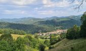 Trail Walking Sainte-Croix-aux-Mines - Le Hury par le Petit-Haut - Photo 6