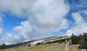 Trail Walking Bédoin - du chalet renard au sommet du ventoux - Photo 15