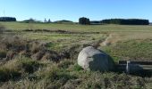 Trail On foot Freistadt - Planetenwanderweg - Photo 3