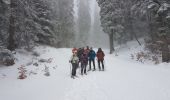 Randonnée Raquettes à neige Autrans-Méaudre en Vercors - La Quoi La Grande Brèche 2020 - Photo 6