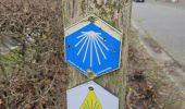 Trail Walking Tongeren - Evermaruspad & Grand-Place  - Photo 4