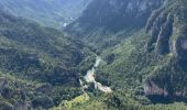 Randonnée Marche nordique Massegros Causses Gorges - Point sublime et tour du Causse de Sauveterre - Photo 7