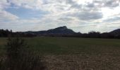 Trail Walking Orgon - PF-Orgon - La Plaine des Alpilles - Photo 2