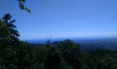 Tour Wandern Wegscheid - Sattelboden - Photo 4