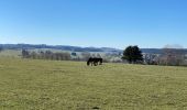 Tocht Stappen Sainte-Ode - Sainte Ode 23,6 km - Photo 2