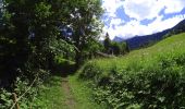 Excursión Bici de montaña Le Grand-Bornand - vtt-dans-la-vallee-du-bouchet - Photo 6