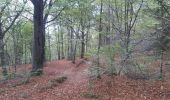 Percorso Marcia Liegi - boncelles . la roche aux faucons retour  - Photo 9