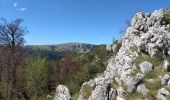 Tocht Stappen Andon - Lac de Thorenc - Photo 4