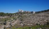 Trail On foot Mate Yehuda Regional Council - IL-9315 - Photo 4