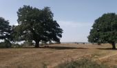 Randonnée Marche Villafranca Montes de Oca - Atapuerca - Photo 5