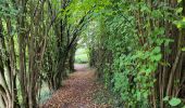 Randonnée Marche La Bruyère - Rhisnes 121023 - Photo 19