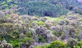 Tocht Stappen Roquebrune-sur-Argens - SityTrail - Les 25 ponts-Roquebrune sur Argens-28-01-22 - Photo 19