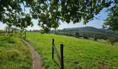 Tour Wandern Hohenfels - Balade à Houffalize - Photo 13