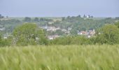 Excursión Senderismo Bassenge - la sublime randonnée au départ de wonck  - Photo 19