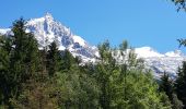 Randonnée Marche Chamonix-Mont-Blanc - la cascade du Dard à gare de Chamonix  - Photo 9